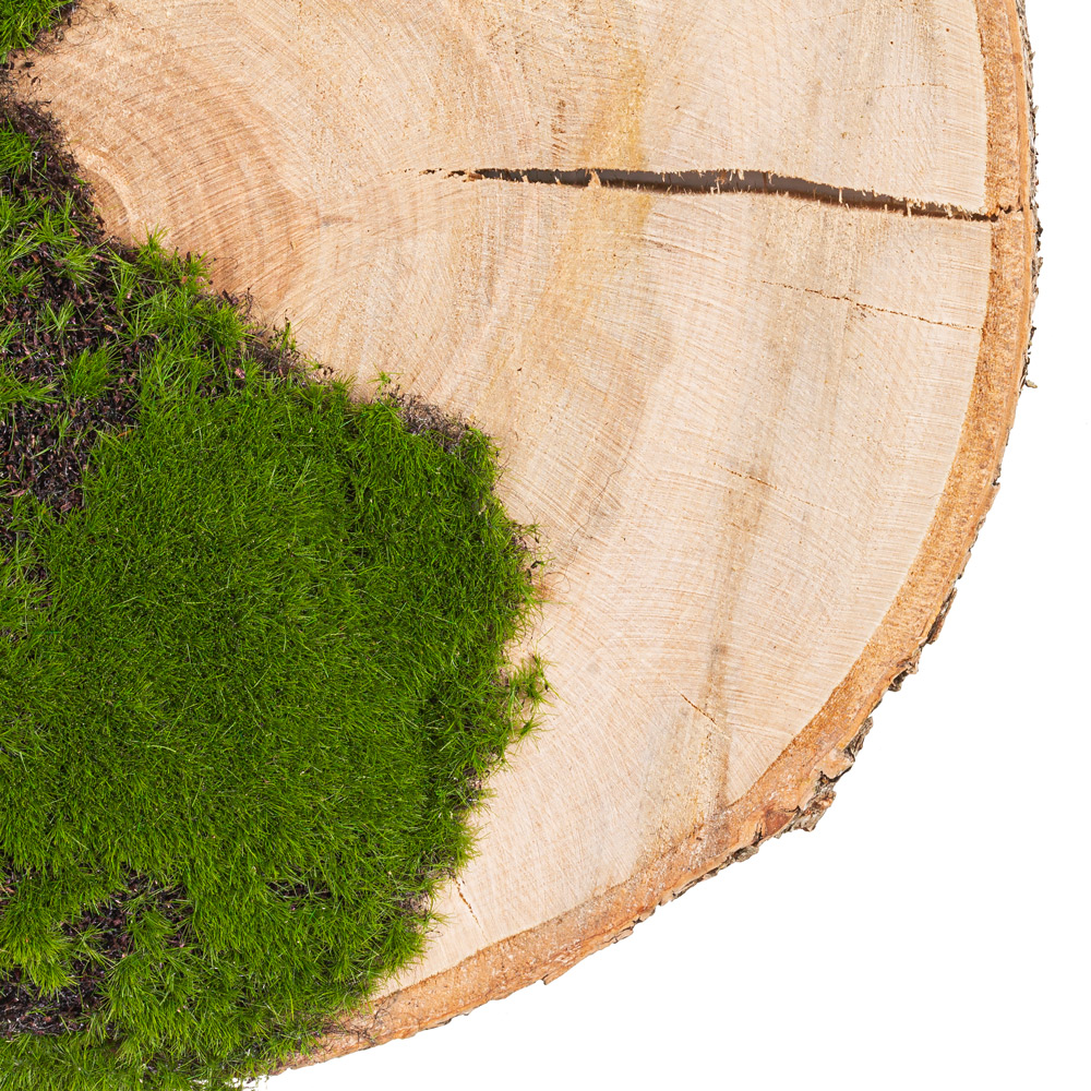 БК140/14 Композиция на березовом спиле d30-40см_3