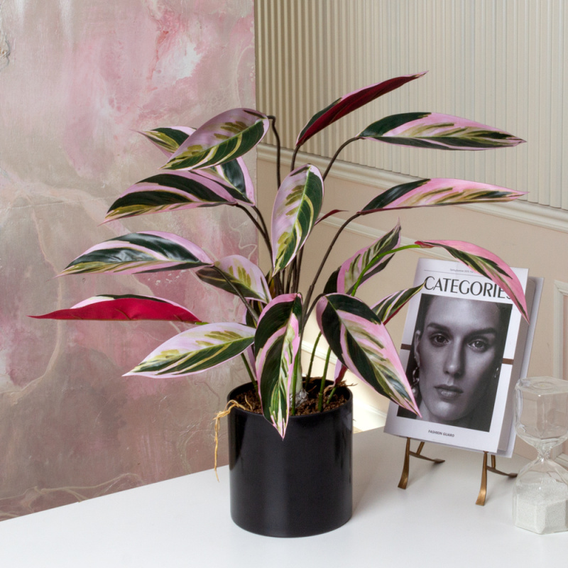 ЦС212-2(F) Калатея искусственная Строманта,  розово-зеленая