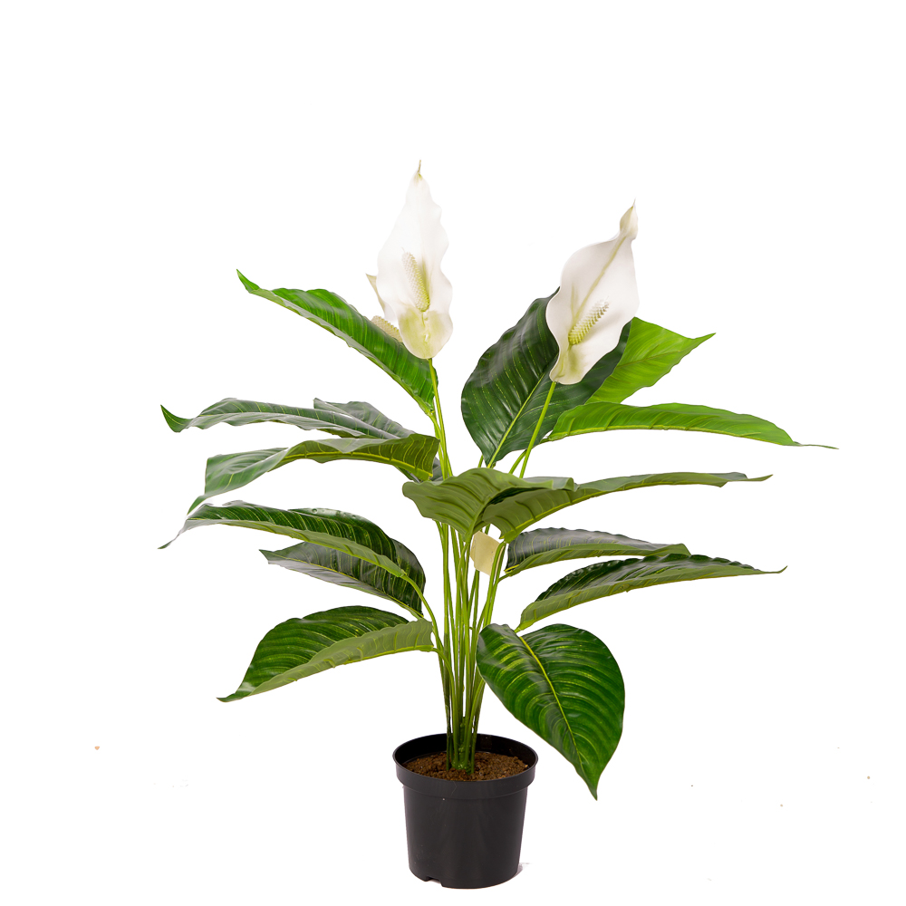 К60/217-1 Спатифиллум h-60см (латекс/ревелюр)
