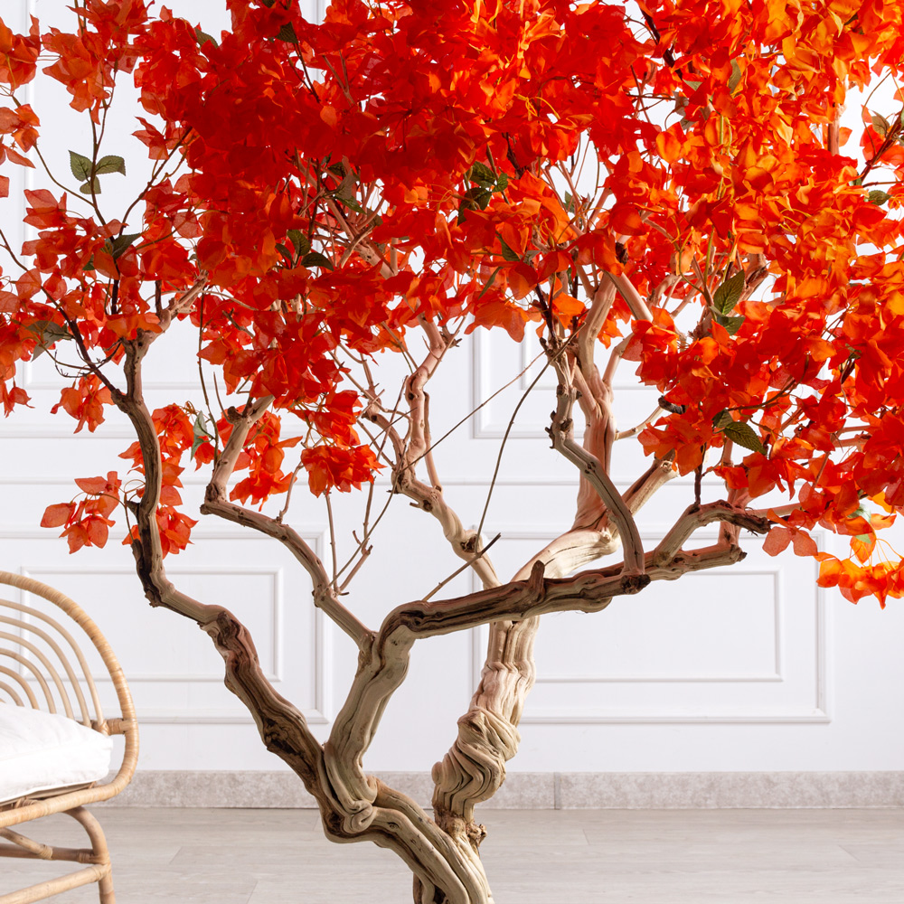 БЦ210/Д3/434(Пр)(F) Бонсай искусственный Бугенвиллия h210см_2