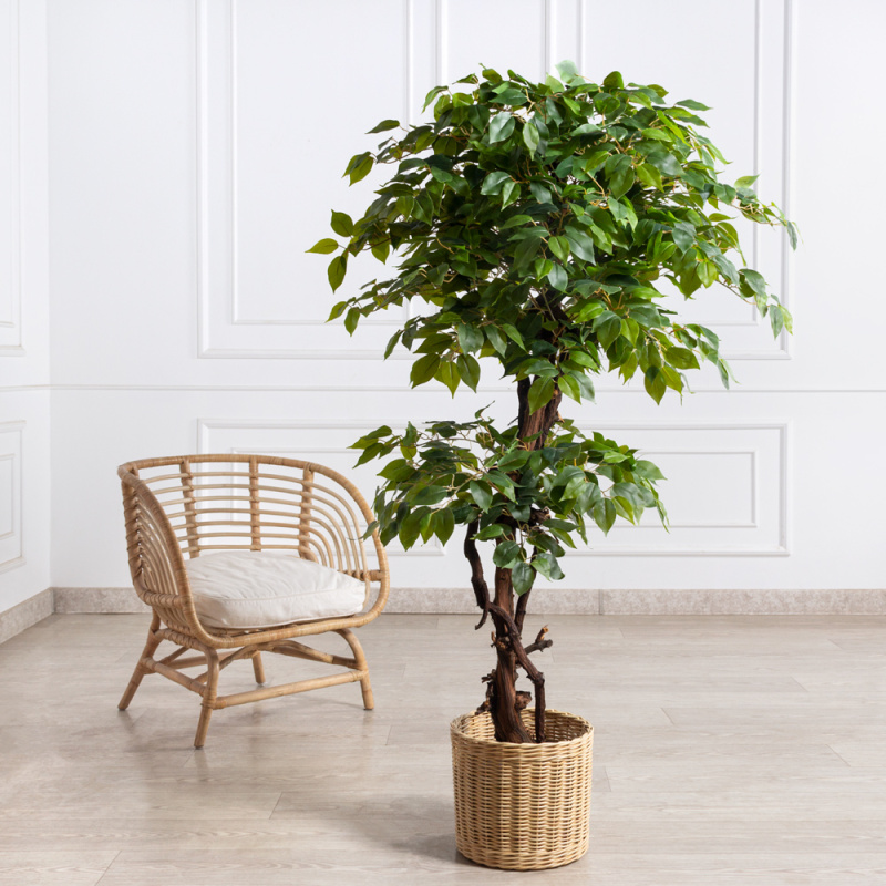 160/ОС/Л/34(з)(Пр)(F) Фикус искусственный h160см (латекс)