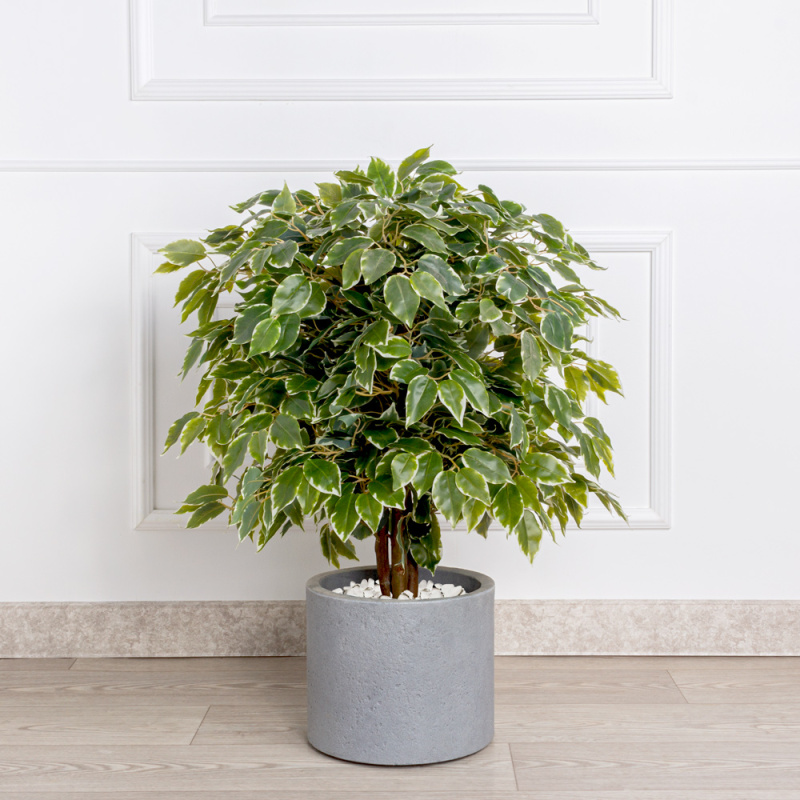 080/УК/17(з)(Пр)(F) Фикус Бенджамина искусственный h80см (латекс)_1