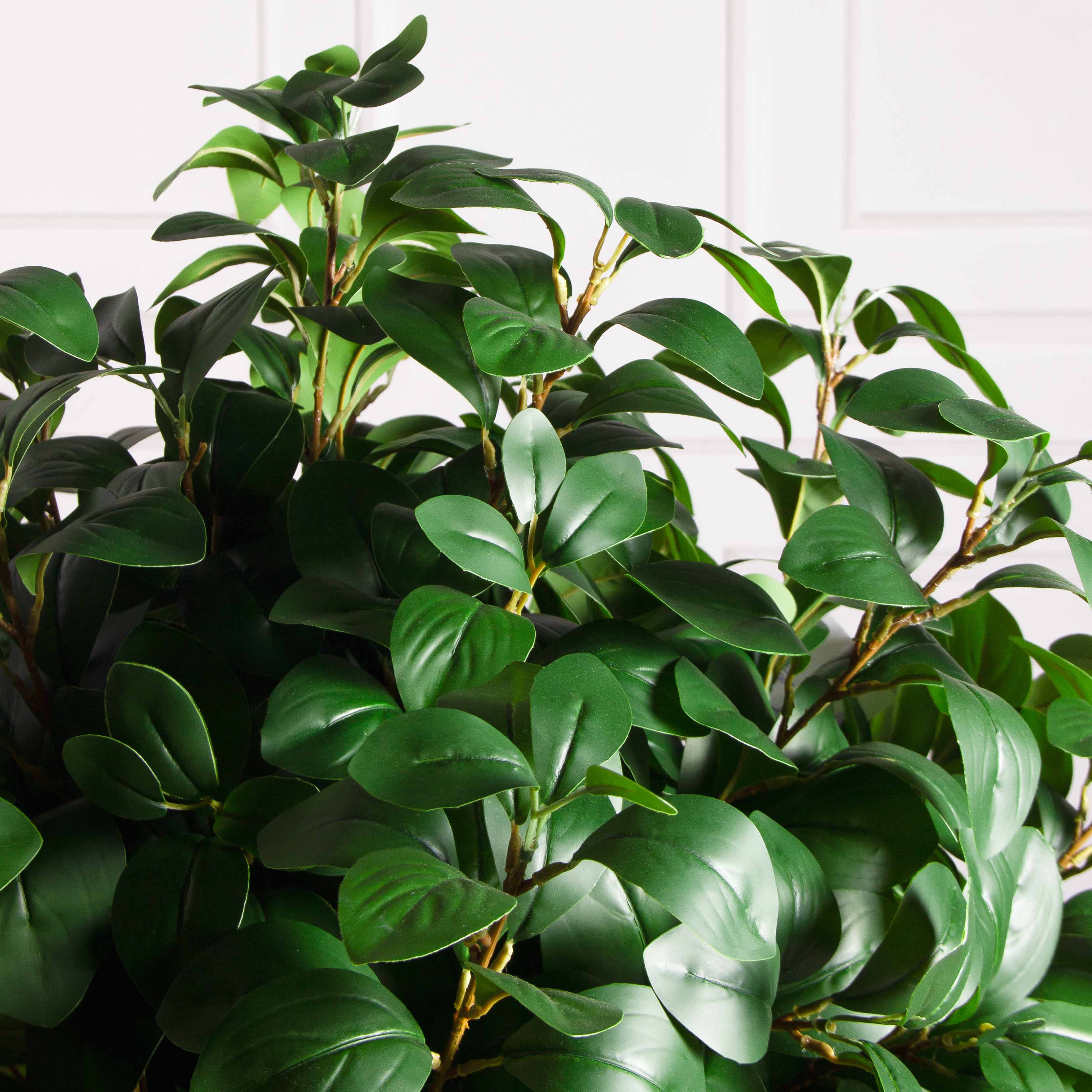 120/Ш/208(з)(F) Рускус искусственный h120, d80см (латекс)_7