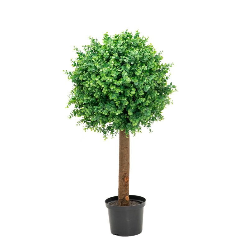 СШ110/228-1 Самшит-шар эвкалипт 