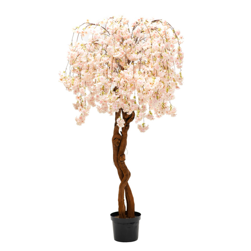 180/2К/ОС/191-2 Сакура королевская (белая)180см