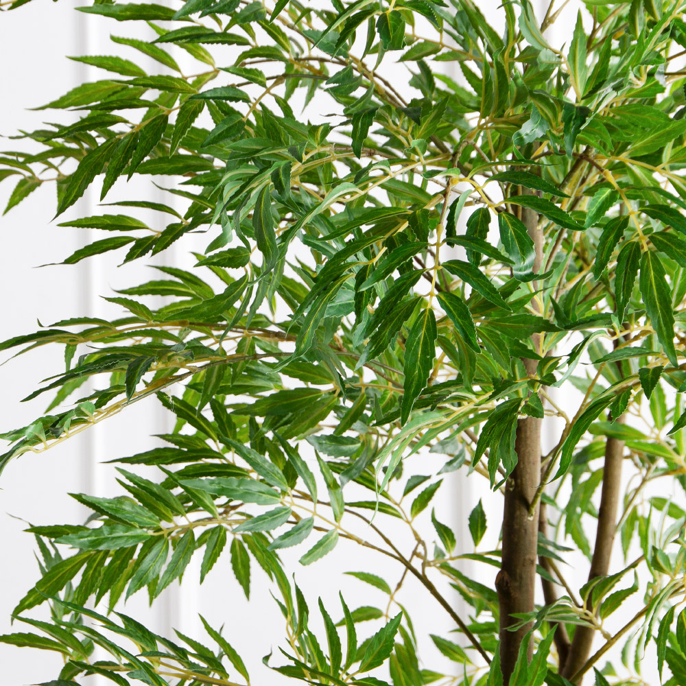 200/РН/ОК/700(Пр)(F) Магония искусственная h200см,(латекс)_3