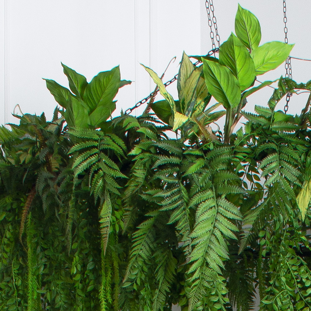 КЗ/40-11(з)(F) Композиция искусственная подвесная с калатеей d160см свес 60см_5