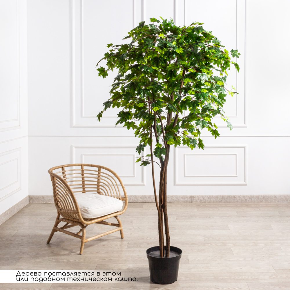 200/РН/29М(F) Клён искусственный h200см_1