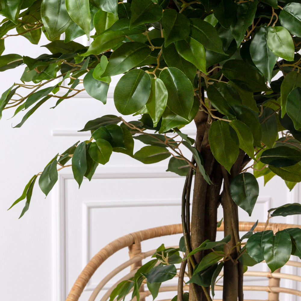 180/РН/34-3(з)(Пр) Фикус искусственный h180см _3