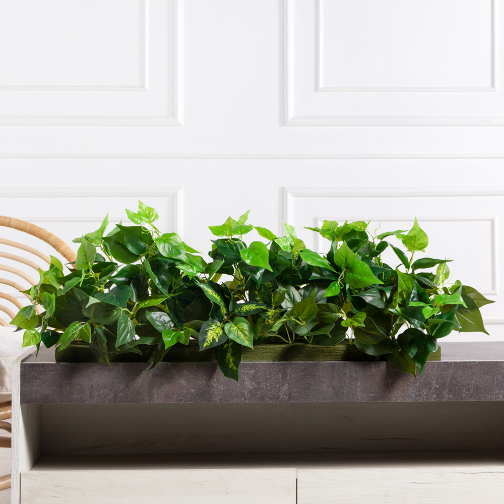 ТД112(з)(Пр)(F) Сциндапсус искусственный на вставке 77х15х3см_1