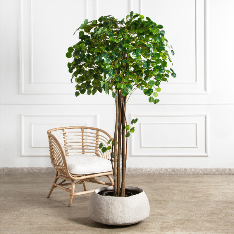 180/РН/709(FixS)(Пр)(F)Фикус Панда искусственный h180см_1