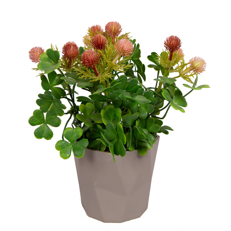 КС/О35-3 Клевер (малиновый) в декор. кашпо h-25см