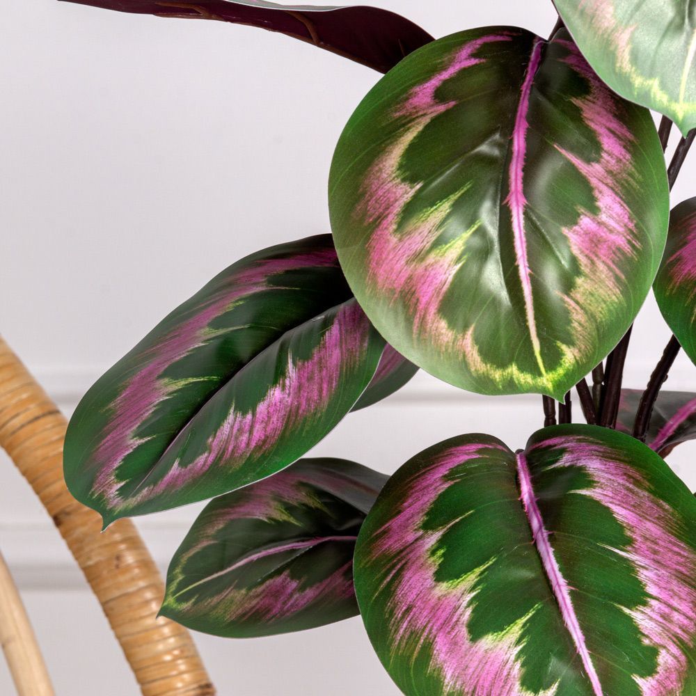 7143/0471-4 Калатея искусственная куст с корнями 12 листов h57см, зелено-фиолетовая_5
