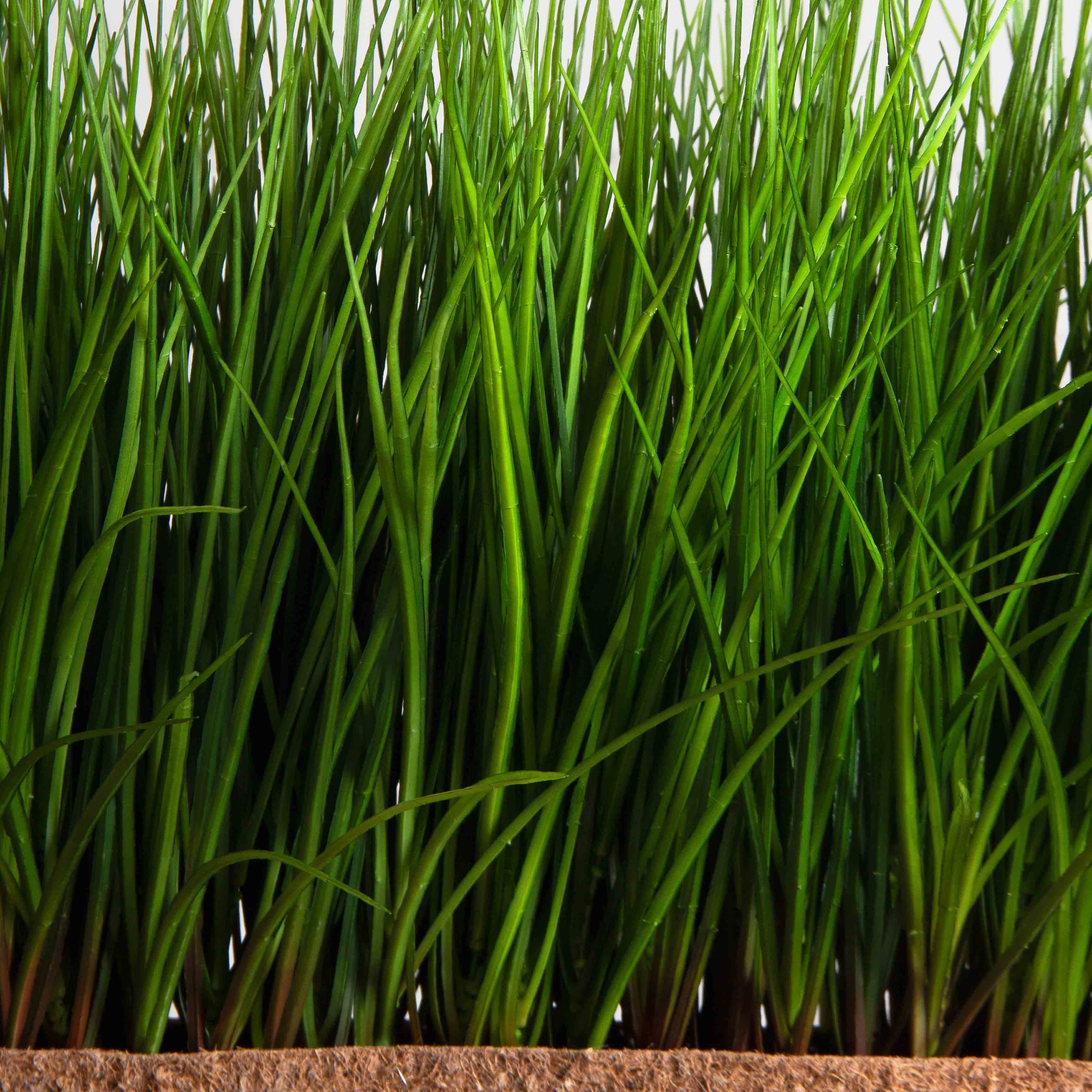 ТД078-1(F) Трава Осока искусственная h36см в кокосовом боксе 50х10х10см_5