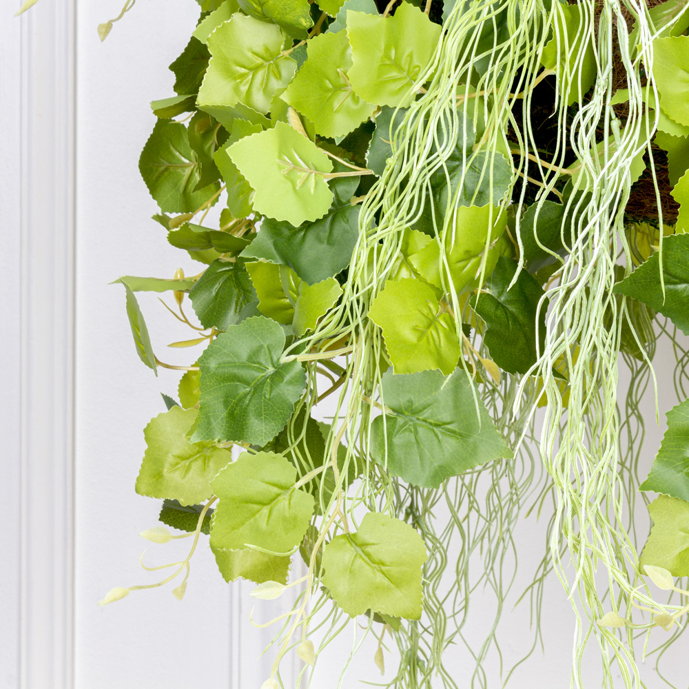 ККВ08 Микс с плющом винограда в коковите d30см_6