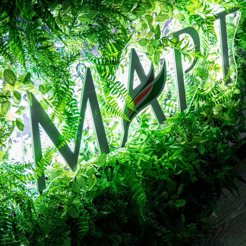 ФП06-2(з) Фитопанно искусственное с подсветкой d125см_2