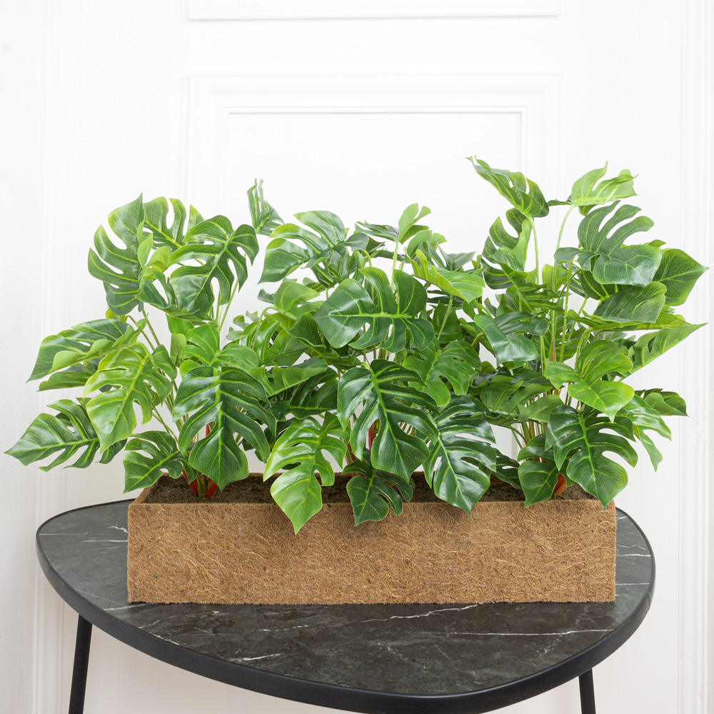 ТД083 Композиция искусственная Монстера(латекс) в кокосовом боксе 50х10х10см_2