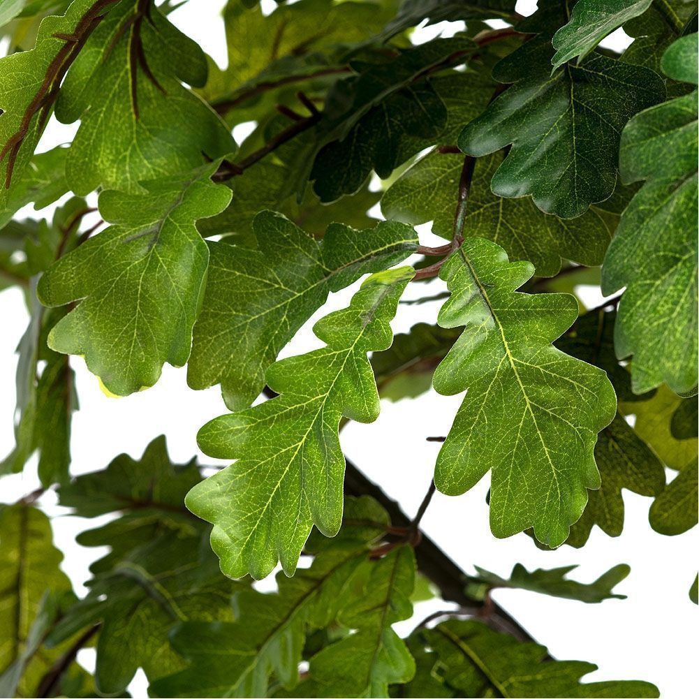 210/Р/222 Дуб h210см(латекс) _1