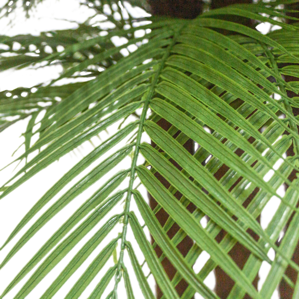 П250/5К/451(з.) Пальма искусственная Арека h250см_3