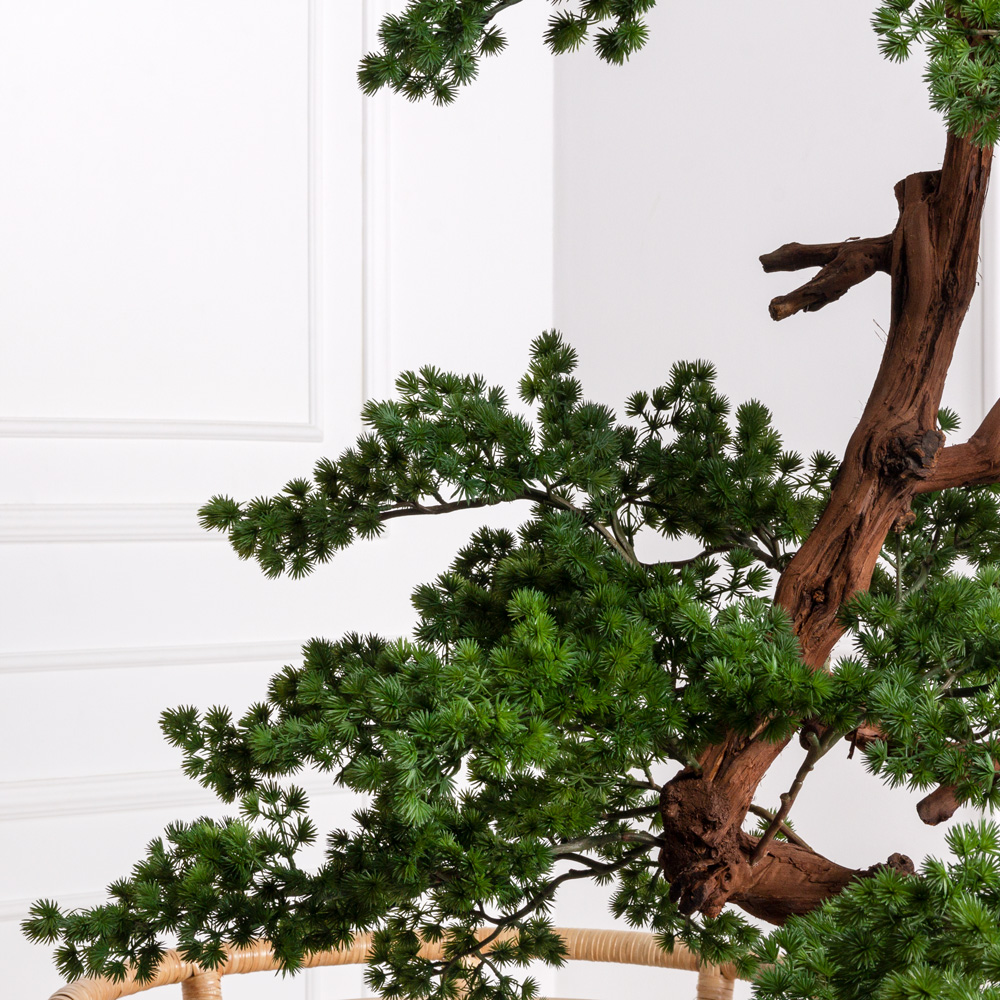 БС165/ОС/427(Пр) Бонсай искусственный Сосна h165см _4