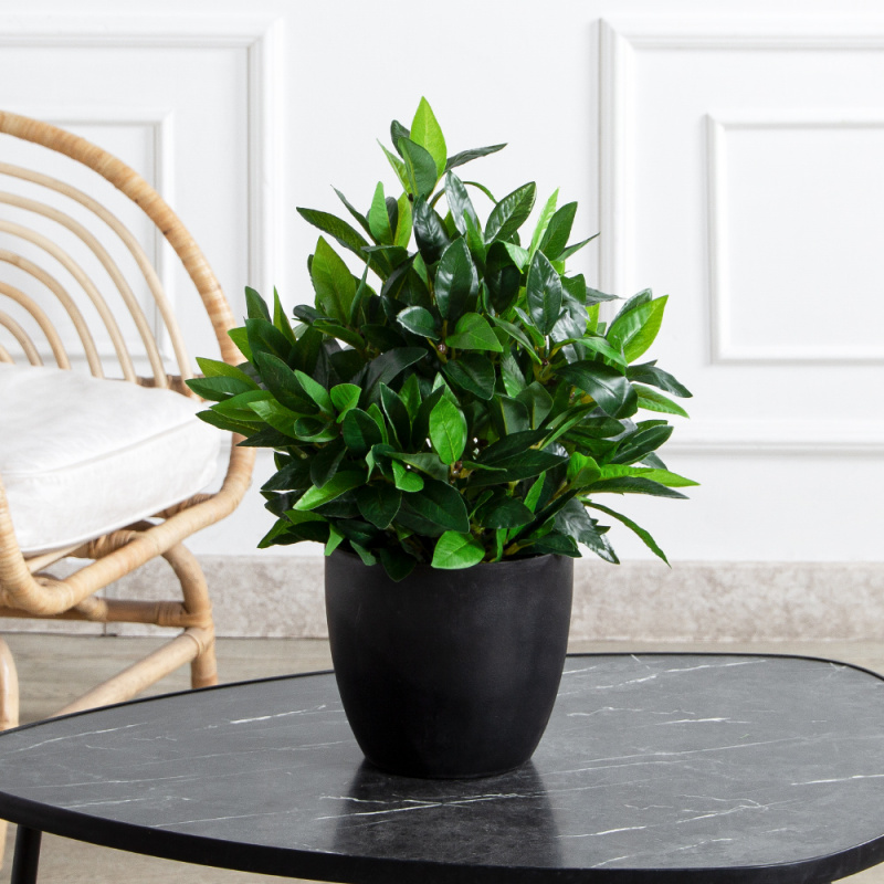 040/К/188(Пр)(F) Лавр искусственный h40-45см (латекс)_1