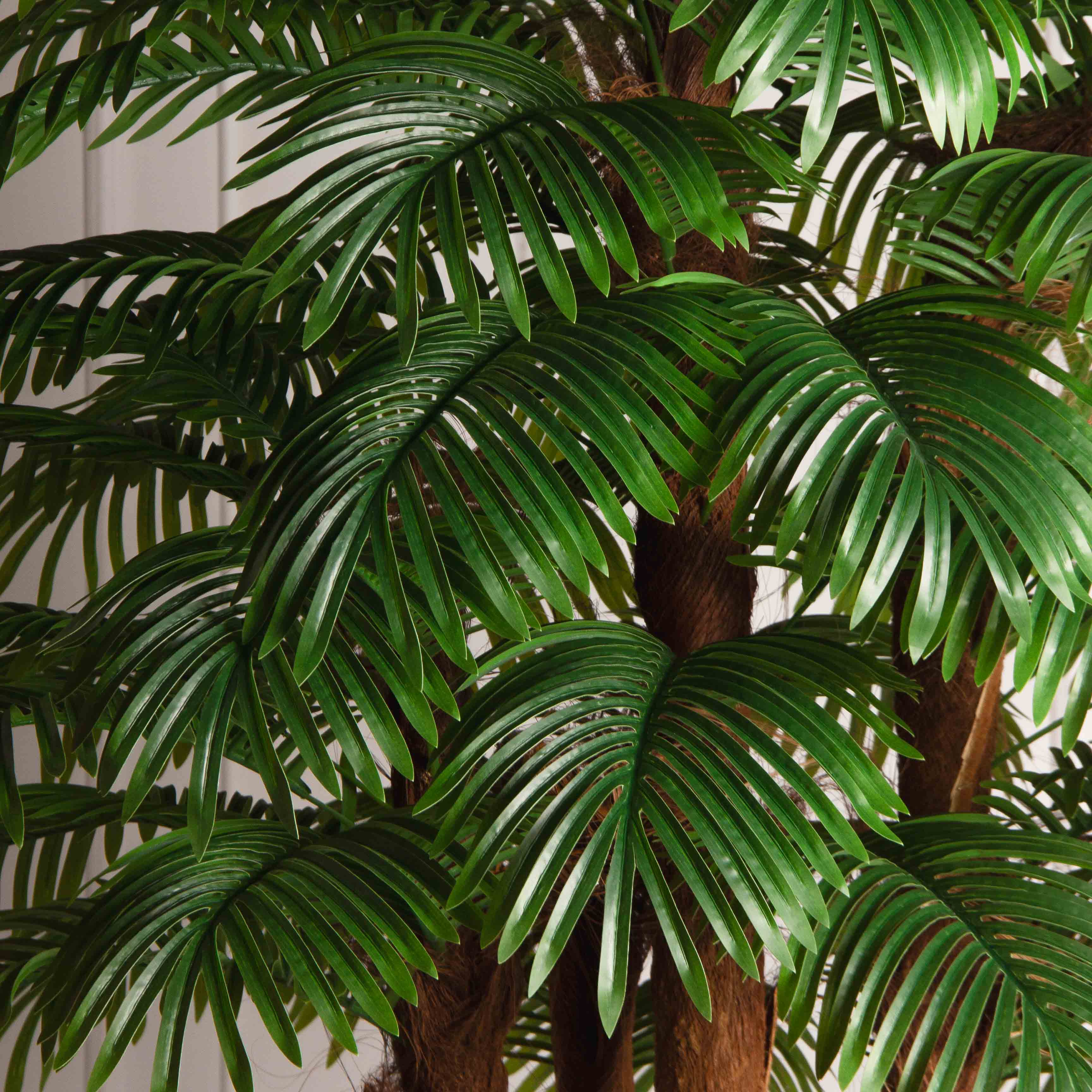 ПС240/5К/49Л(з)(F) Пальма Арека искусственная h240см (латекс)_8