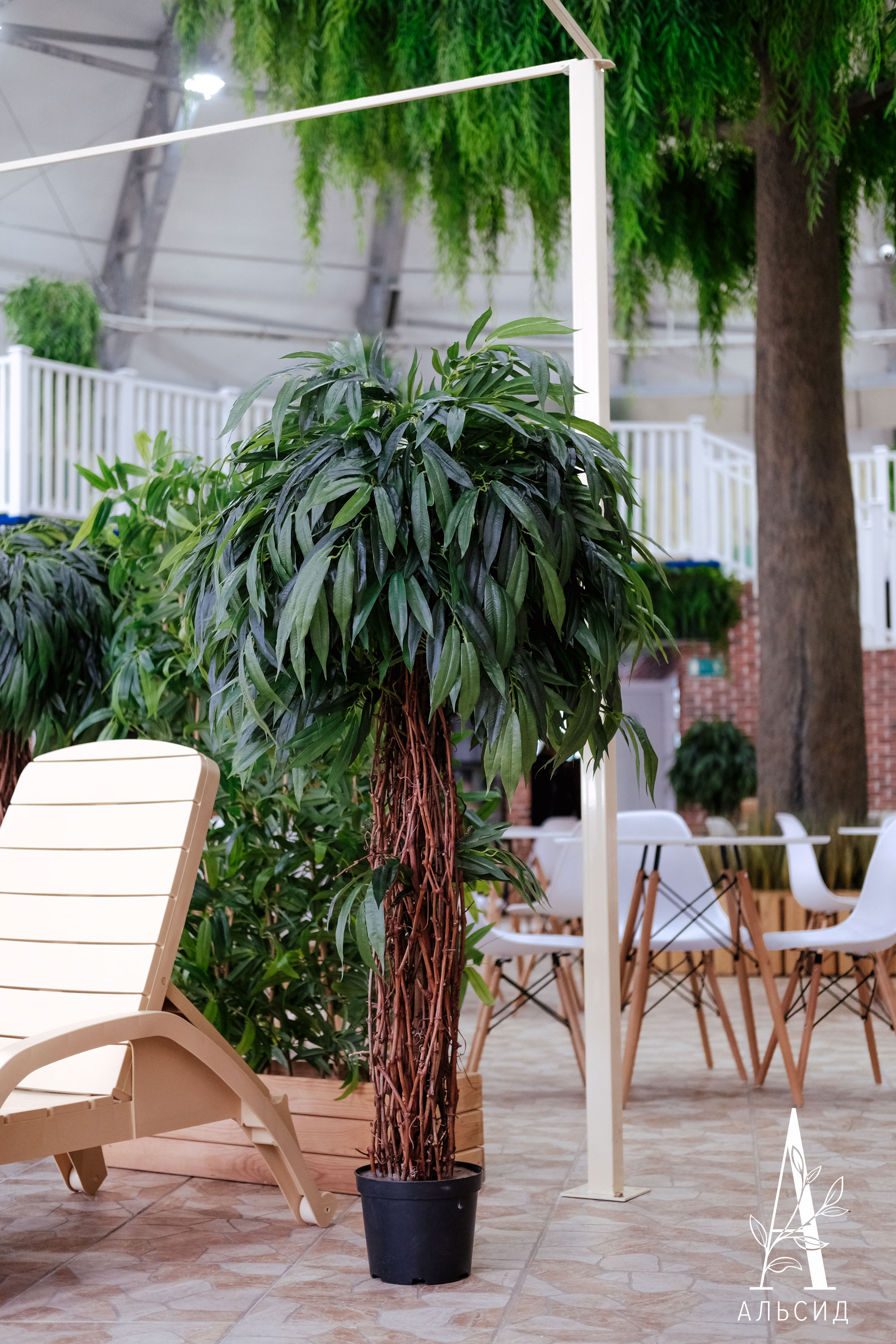 160/ССТК/ВП/219(Пр)(F) Лонгифолия искусственная h160см (латекс)_4