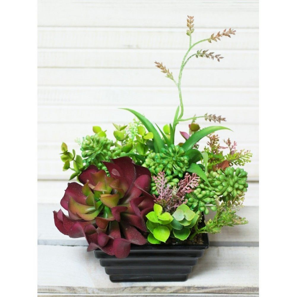 30cd5653-b75a-4fad-aca4-85fd5dc6aca8-1000x1000-1001x1001