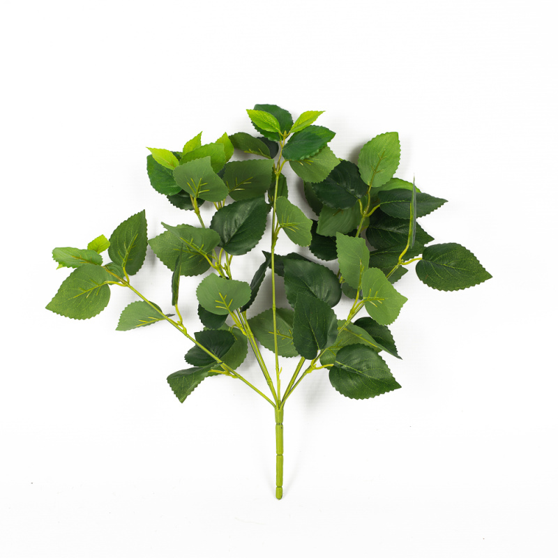 7143/9119-2 Колеус (зеленый)