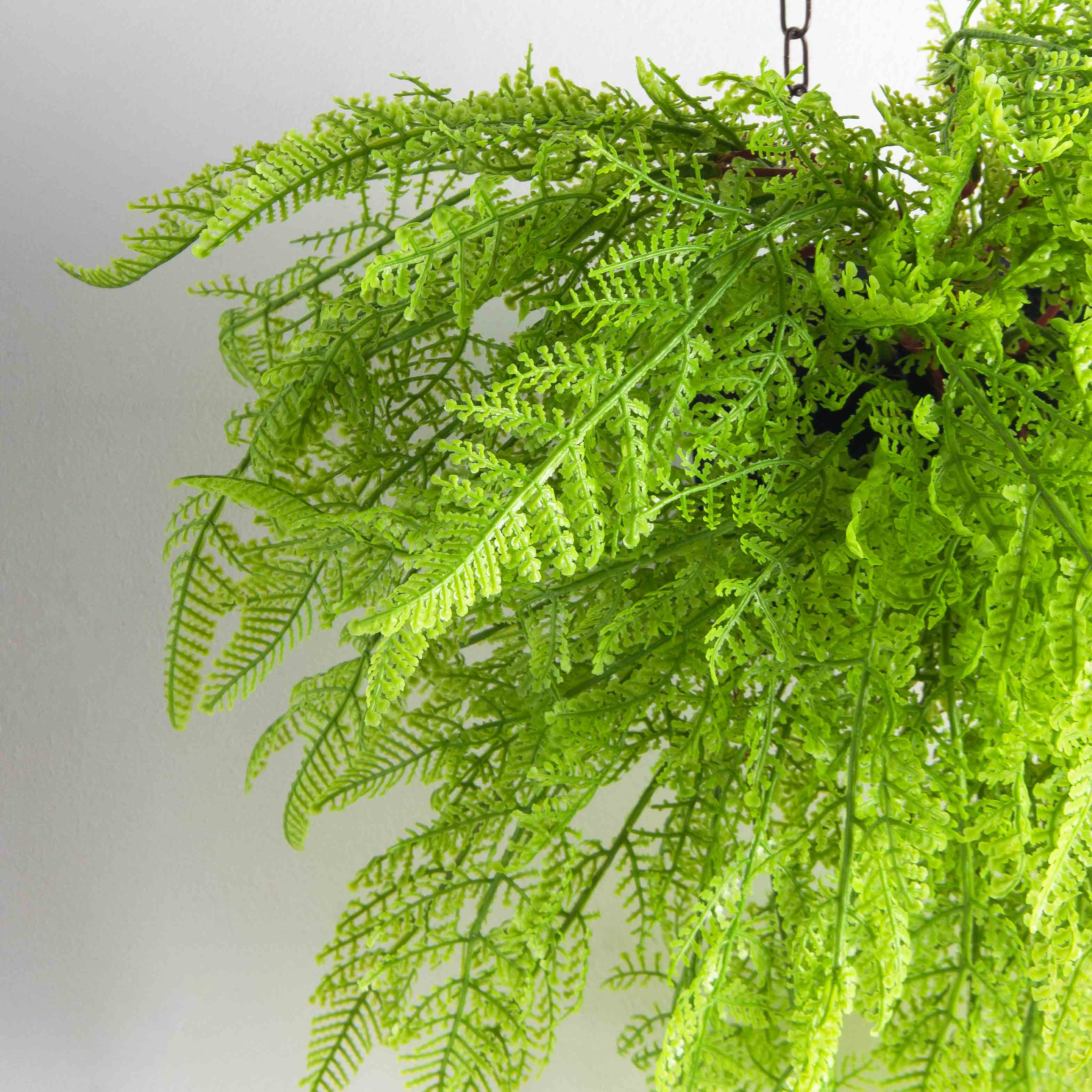 БК11(F) Композиция с папоротником Давалия на блоке 15*h10см_4