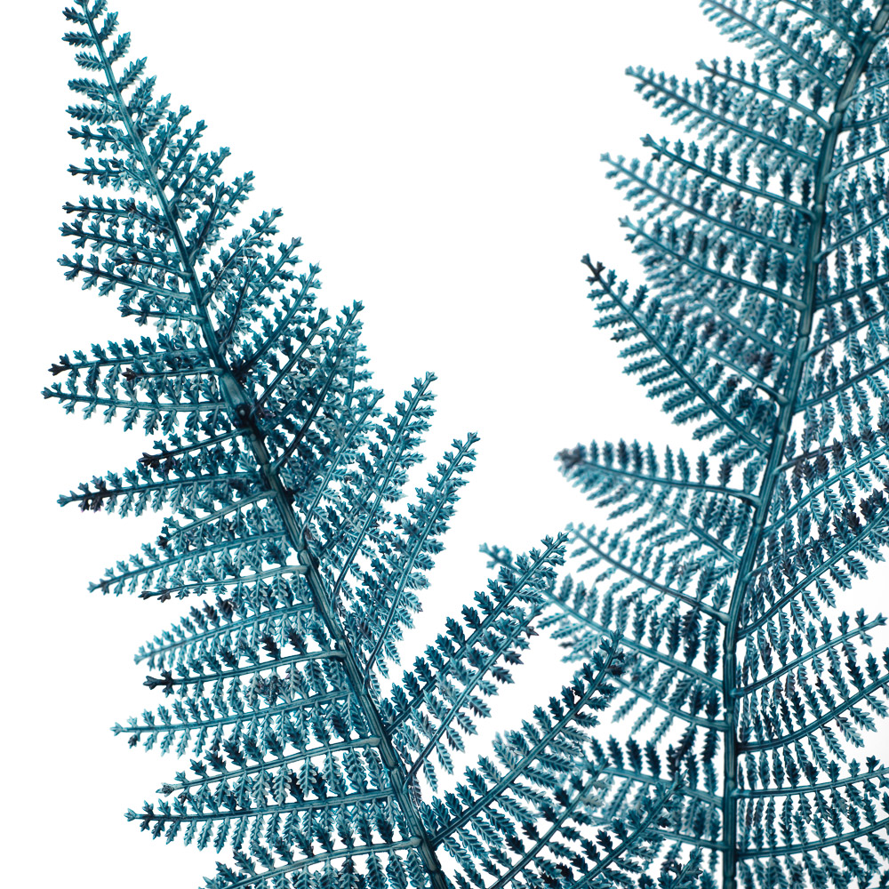 7143/0030-14/21 ветка Давалии пушистая h=65см (45+20) синяя_2