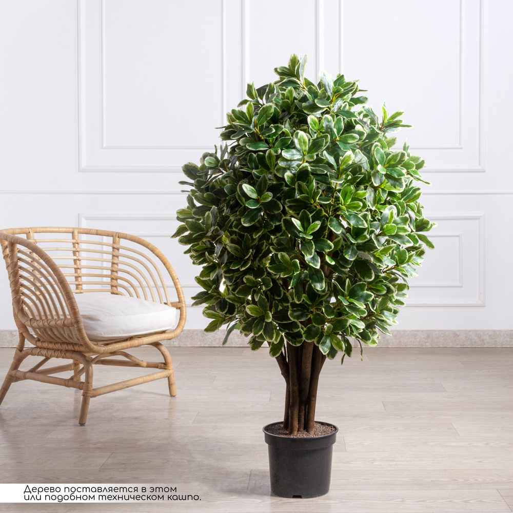 130/К/519(з)(F) Питтоспорум искусственный куст пестрый h130см_1