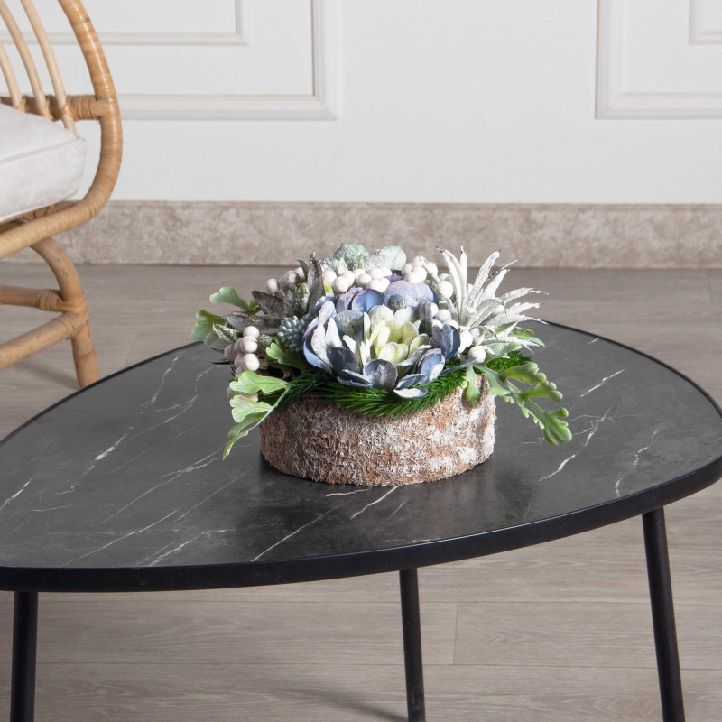 СКК08-1(з)(F) Суккуленты НГ в круглом забеленном кокосовом боксе d20см_1