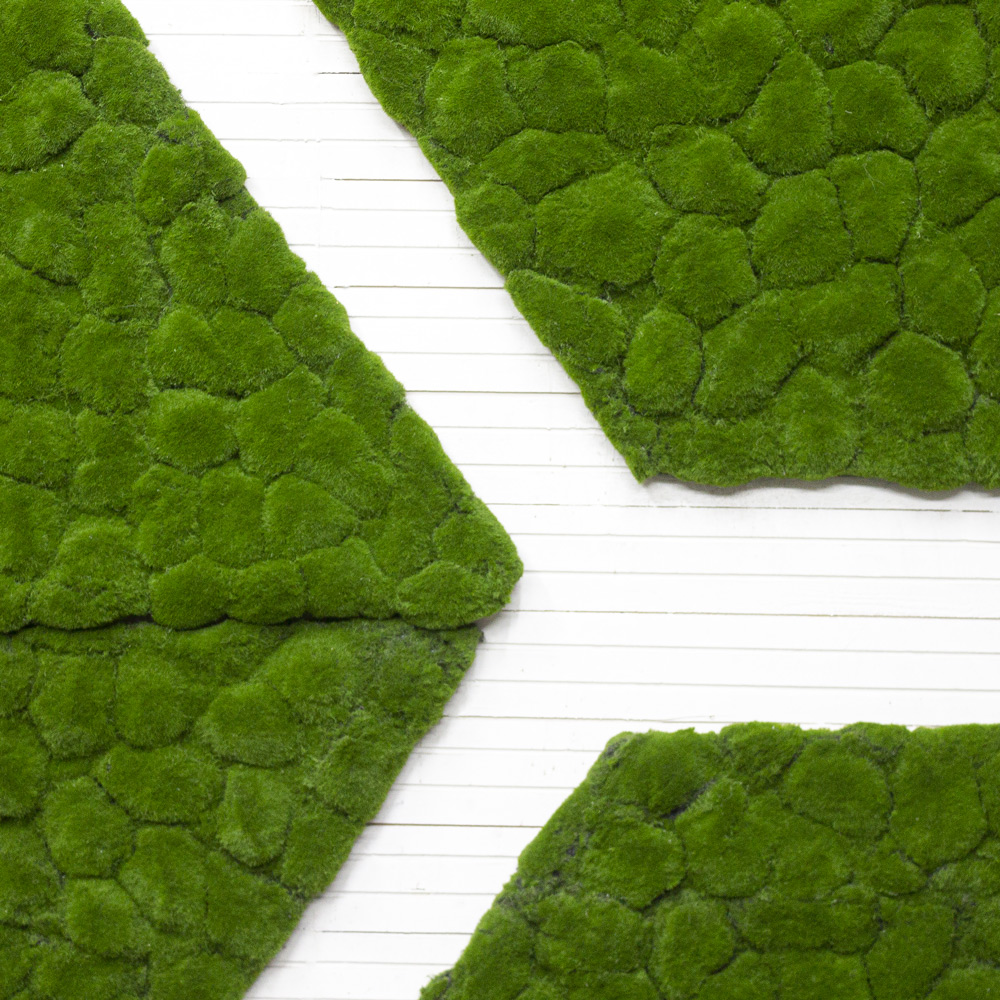 Фитостена 150_1