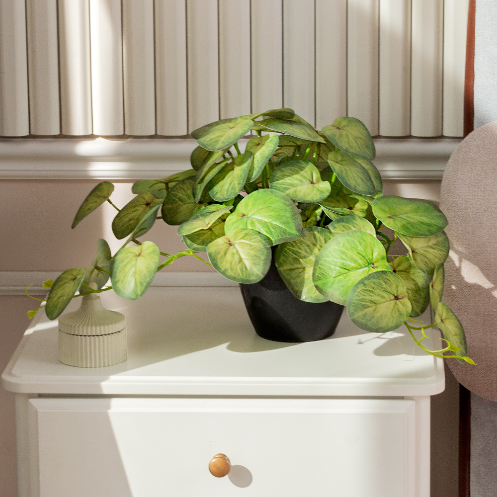 ЦС209-1(F) Пеперомия искусственная ампельная, салатовая_1