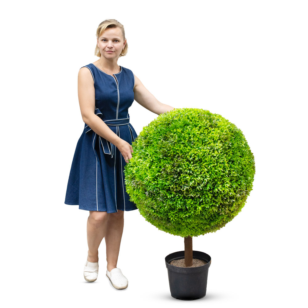 СШ70/423(М)(Promo) Самшит шар d70см в d26см_3