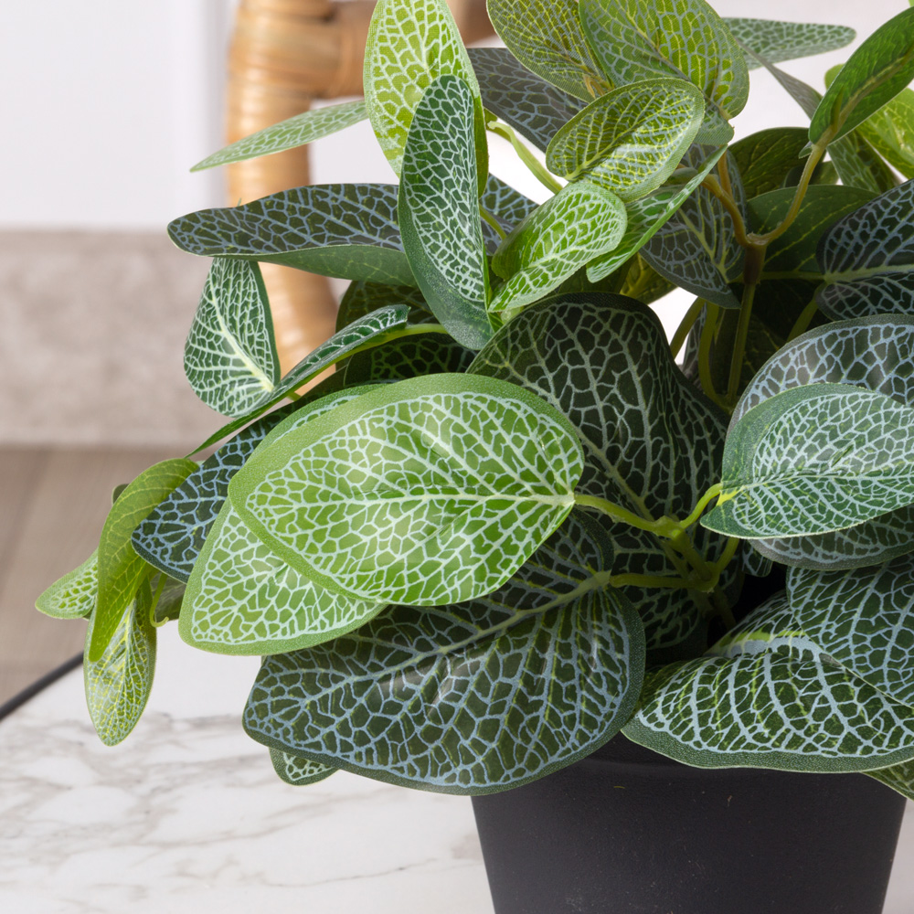 ЦС32/179 Фиттония искусственная h27см в кашпо (латекс)_6