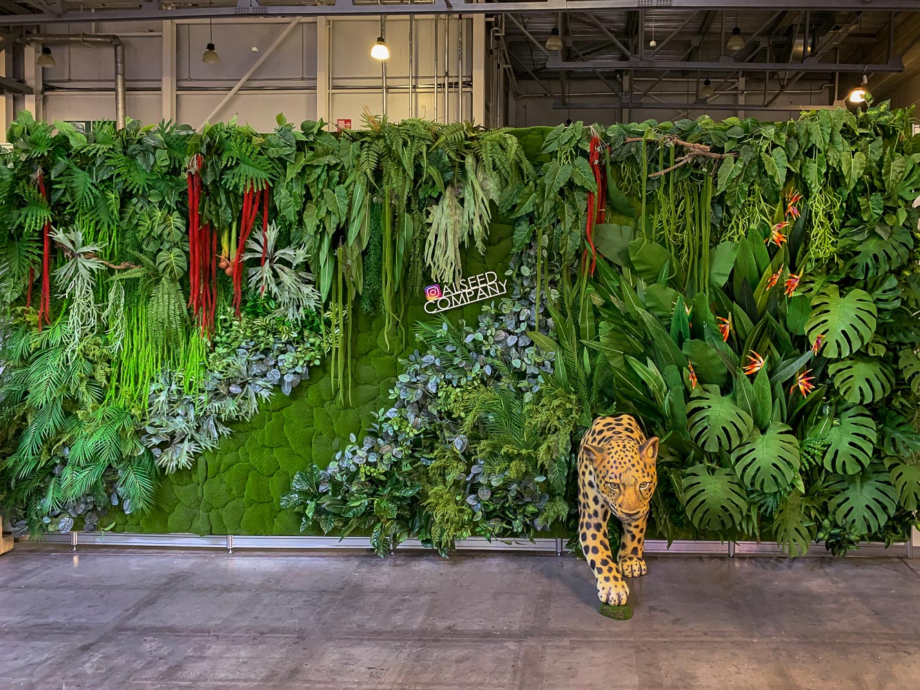 Фитостена 99_4