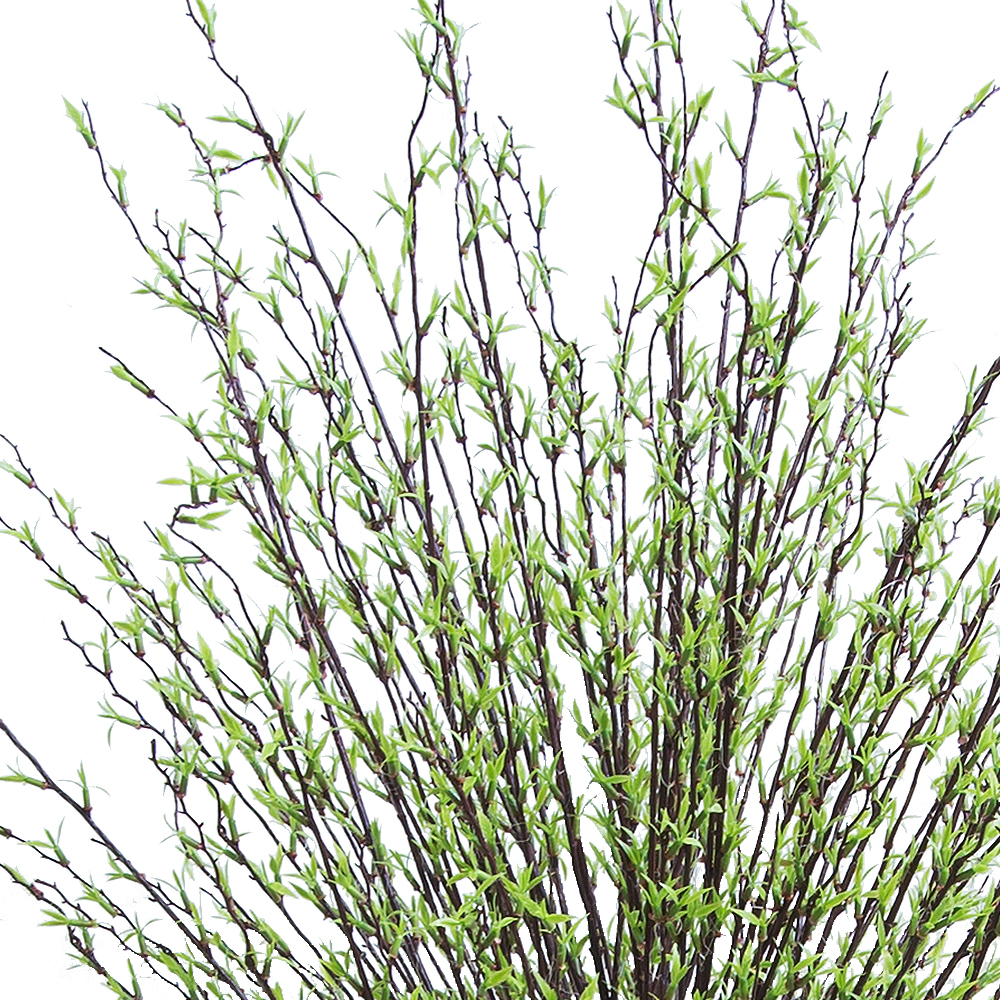 ККДД180/195(з.) Кокедама d40см Дерево с молодыми побегами h180см_1