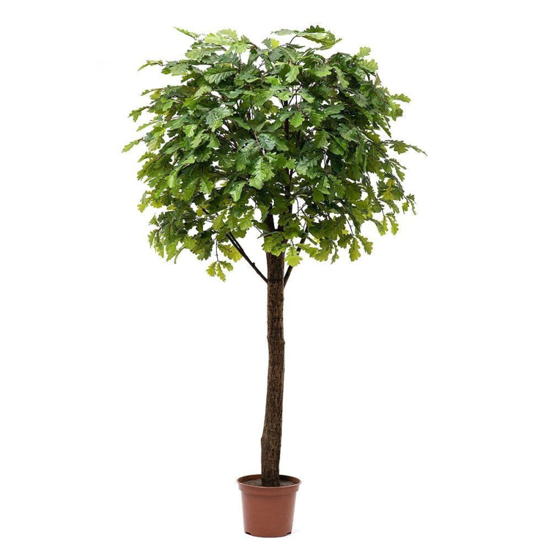 210/Р/222 Дуб h210см(латекс)