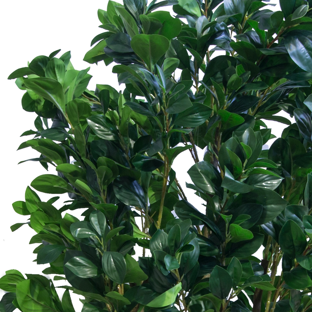 ККДД180/64(з.) Кокедама d40см Рускус h180см_2