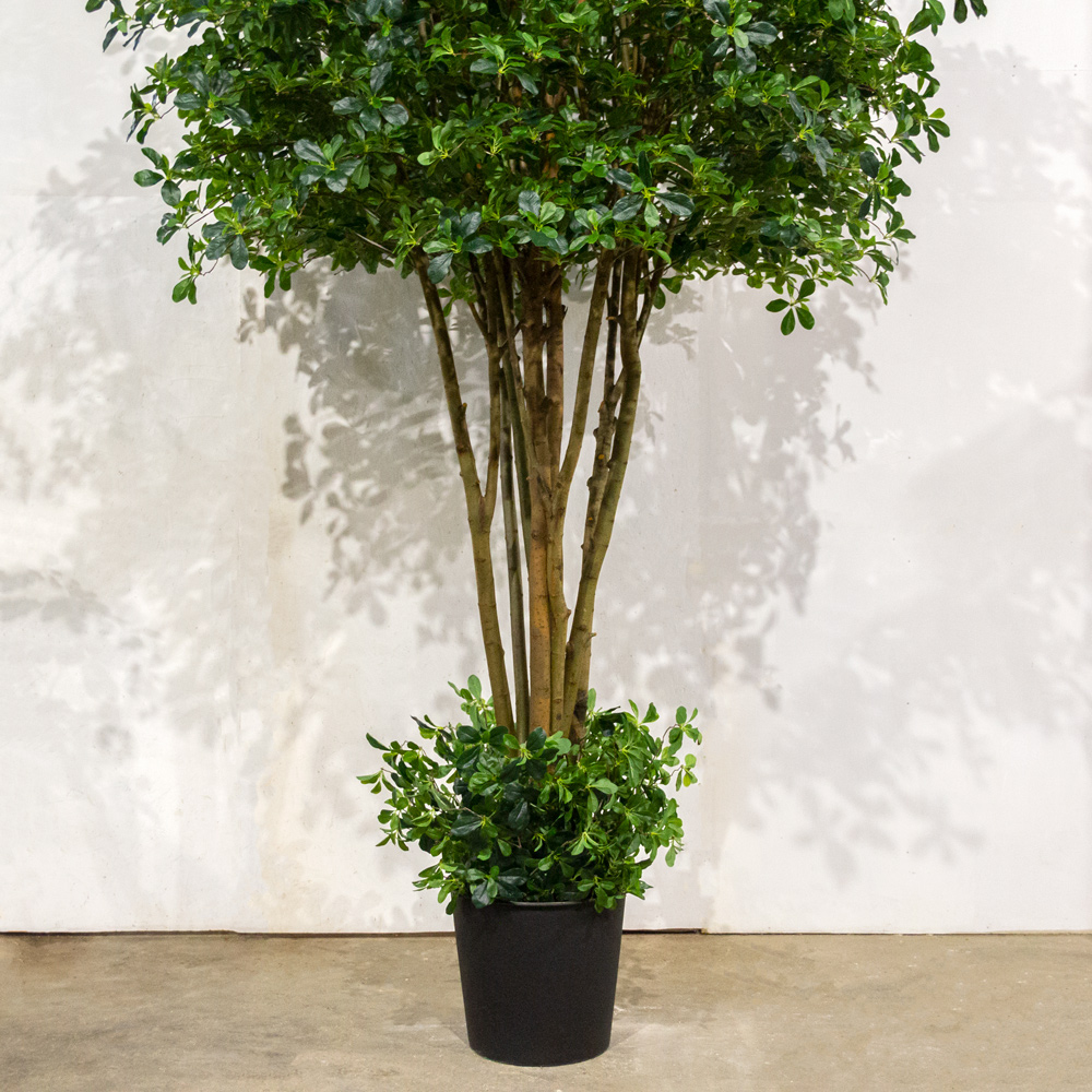 320/РН/84-6(з)(УУ)(Пр)(F) Шеффлера искусственная с подкустником h320см,латекс  _2