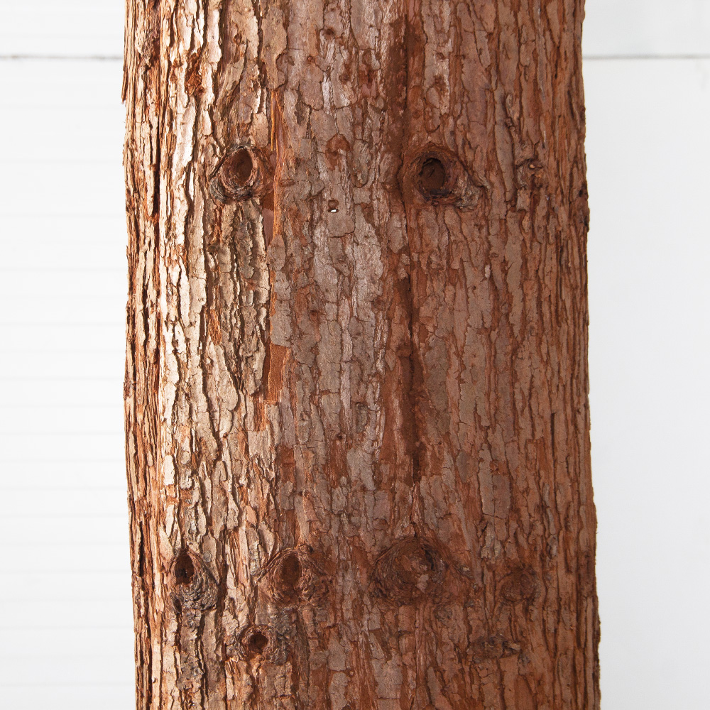 500Разб/ТР/222-1(F) Дуб искусственный разборный h500см d500см_5