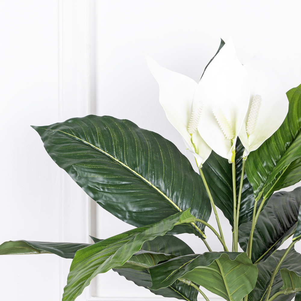 К60/217-1 Спатифиллум h60см (латекс/ревелюр)_5