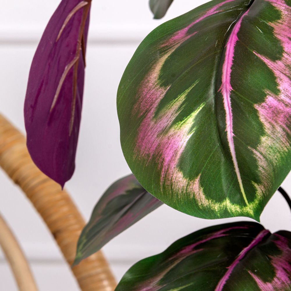 7143/0471-3 Калатея искусственная куст с корнями 9 листов h47см, зелено-фиолетовая_4