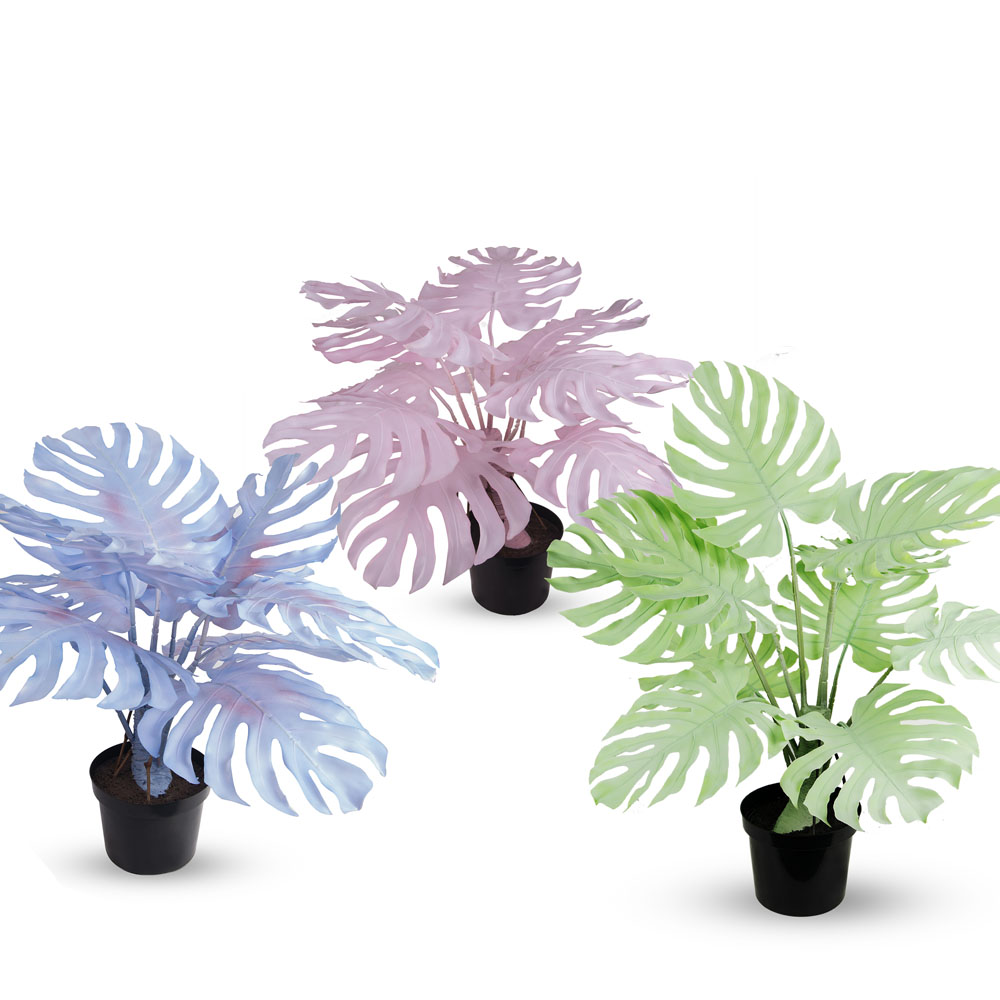 80/К/ССТ/371-1(з.) Монстера мятная на стволе h80см (латекс) _3