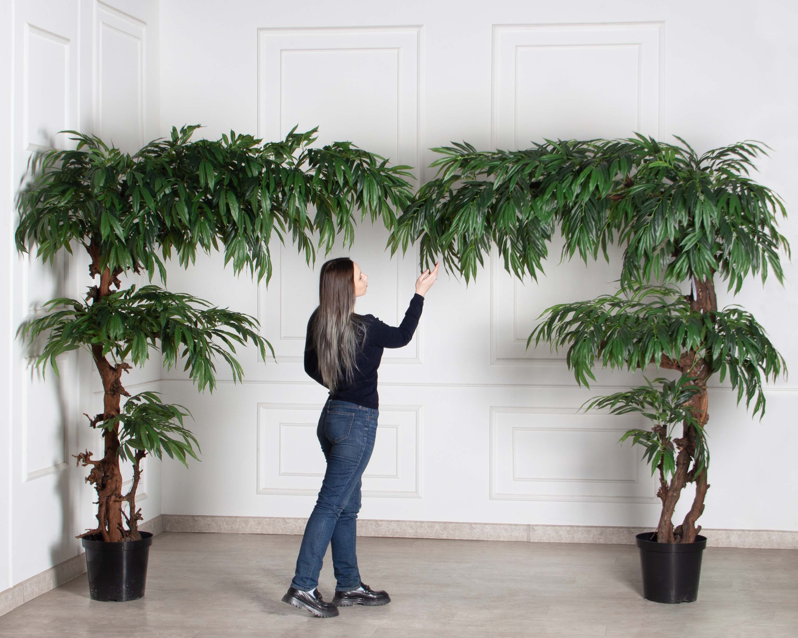 220/3Я/ОС/219(з)(F) Лонгифолия искусственная пристенная h220см_5