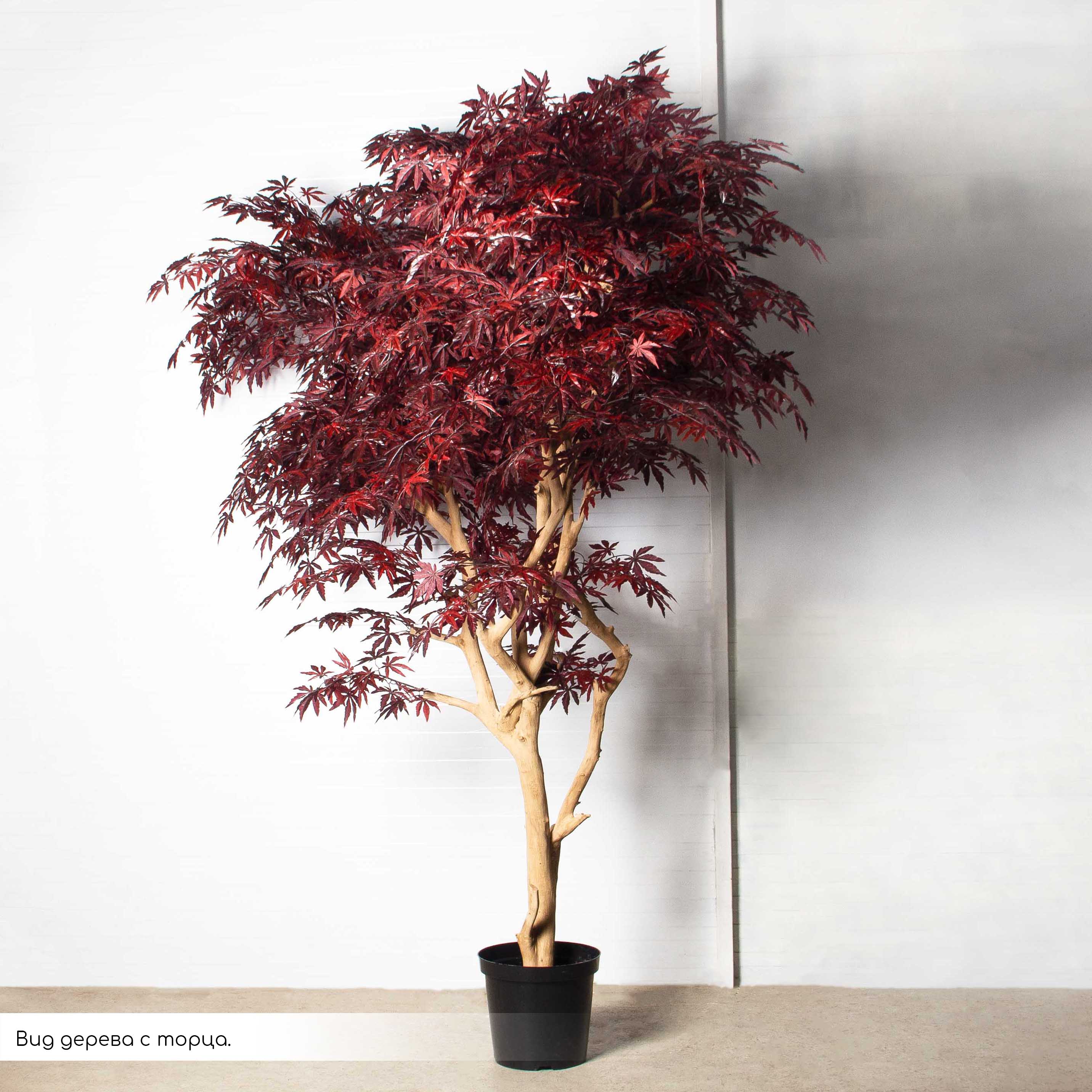 270/ДА/400(з)(УУ)(Пр)(F) Клён искусственный h270см d230х110см, латекс_3