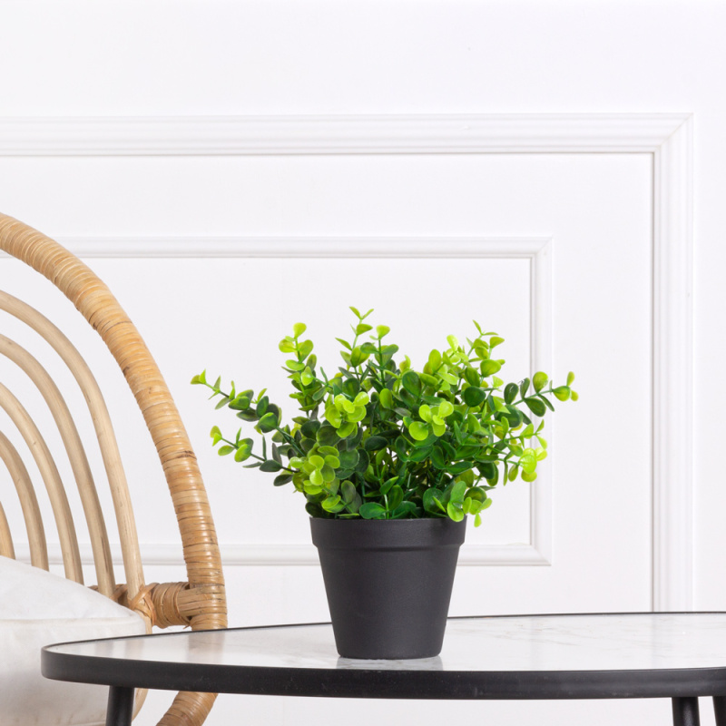 ЦС26/202 Самшит эвкалиптовый искусственный h15см в горшке d11см_6