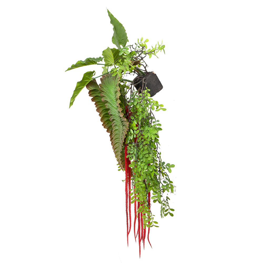 БК 26 Композиция с амарантом (бордо) и каладиумом на блоке 15*h10_22